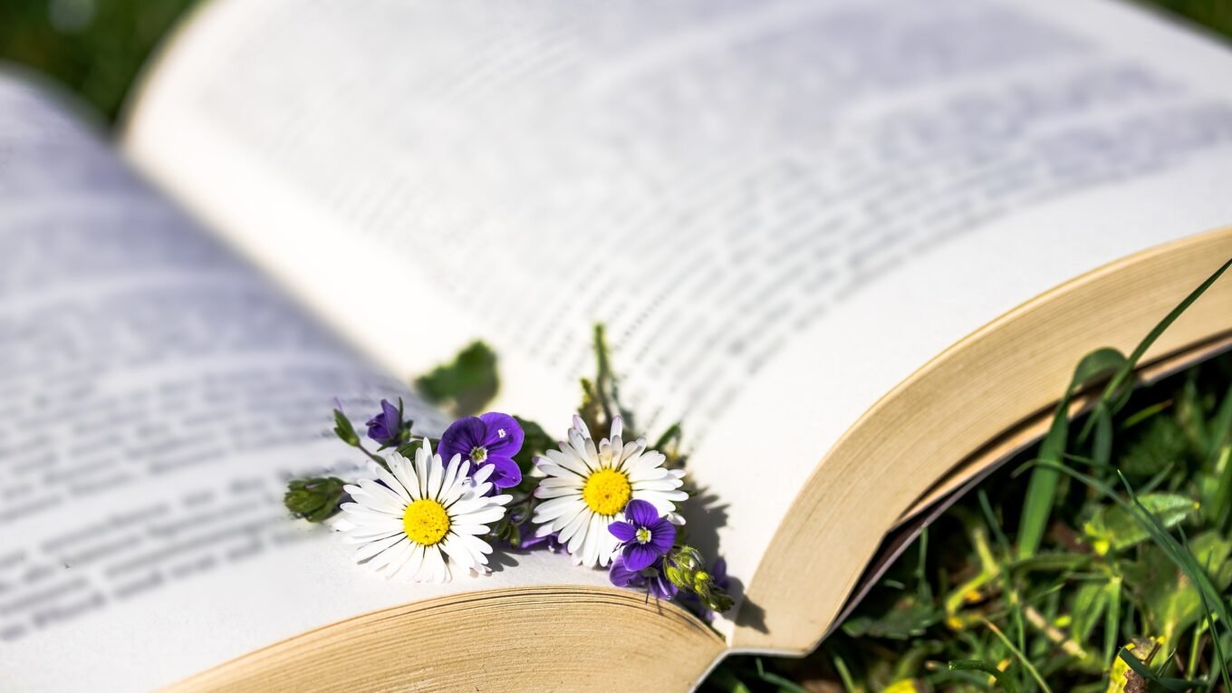 cheap universities in Ukraine for international students